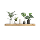 Rustic Floating Wood Shelf