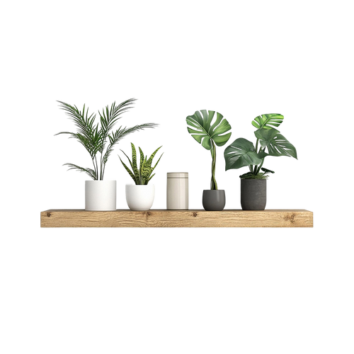 Rustic Floating Wood Shelf